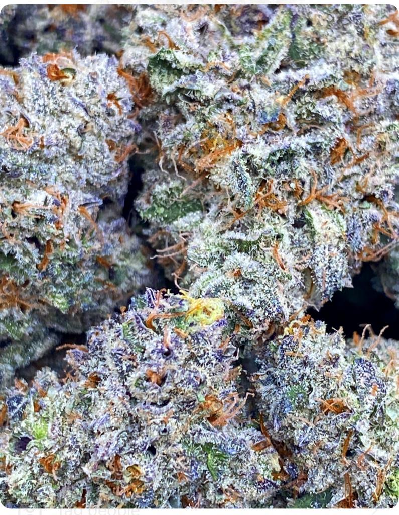 CANDY BAGUETTES: 39.9